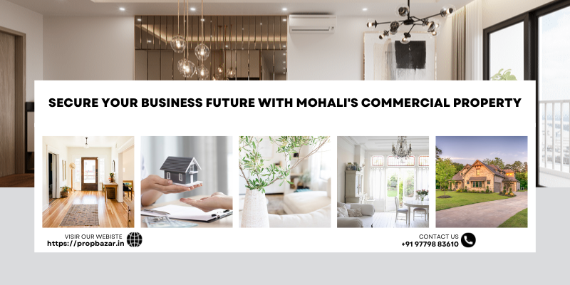 Secure Your Business Future with Mohali’s Commercial Property